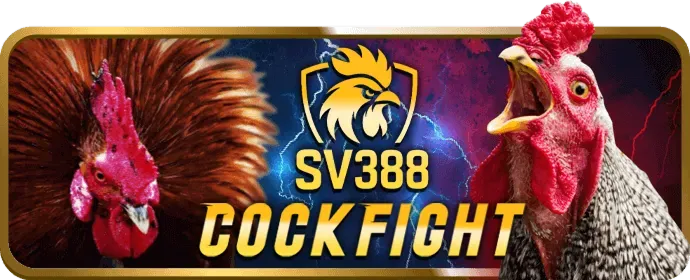 Slot 3D với đồ họa sống động